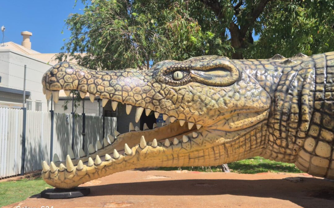 Destination Unknown, Part 13: Outback Queensland, Savannah Way & East Coast Arrival